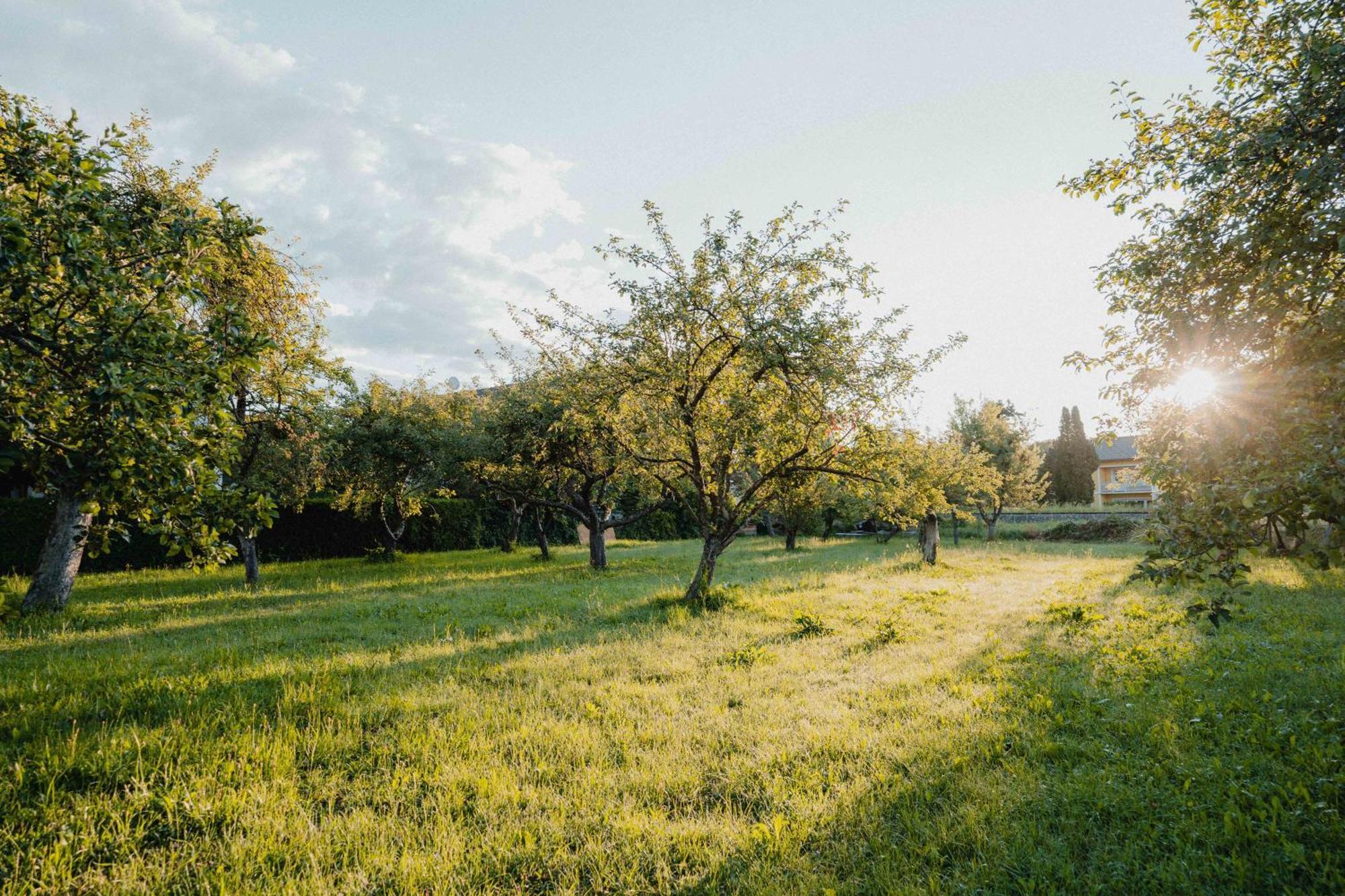 Garten-Hotel Ochensberger Sankt Ruprecht an der Raab ภายนอก รูปภาพ